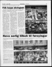 Síða 17