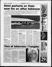 Síða 3