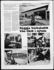 Síða 4