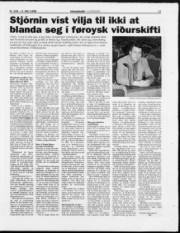 Síða 17