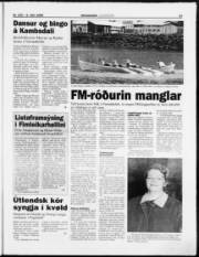 Síða 23