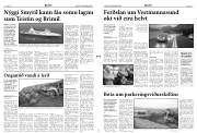 Síða 3