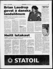 Síða 17