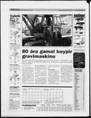 Síða 24