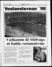 Síða 11