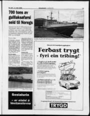 Síða 13