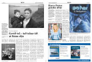 Síða 8
