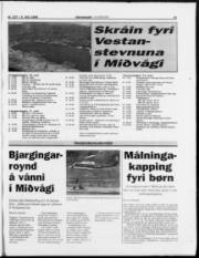 Síða 19