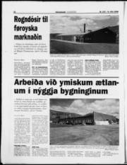 Síða 20