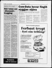 Síða 3