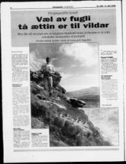 Síða 8
