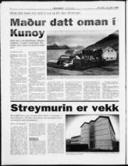 Síða 6