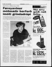 Síða 7