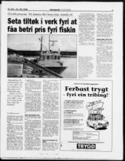 Síða 3