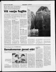 Síða 7