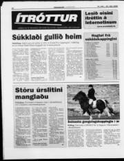 Síða 12