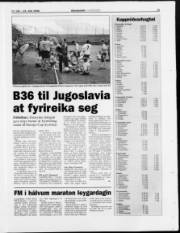 Síða 13