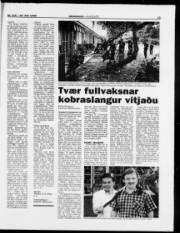 Síða 15