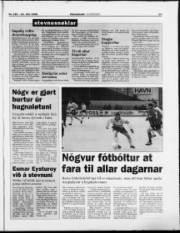 Síða 13