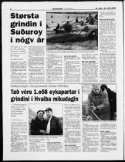 Síða 8