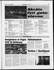 Síða 13