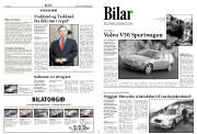 Síða 9