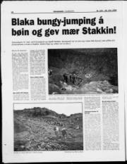 Síða 18