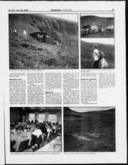 Síða 19
