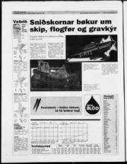 Síða 24