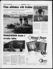 Síða 7