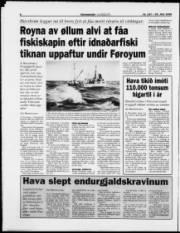 Síða 8