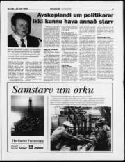 Síða 3