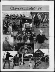 Síða 33