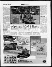 Síða 45