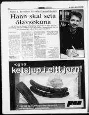Síða 46