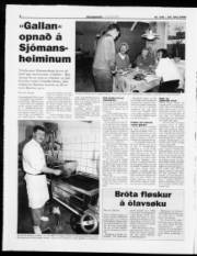 Síða 6