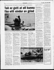 Síða 8