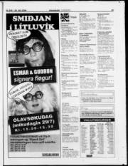 Síða 29