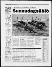 Síða 32