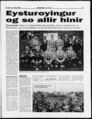 Síða 13
