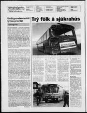 Síða 2