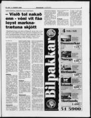 Síða 3