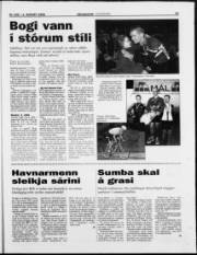 Síða 23