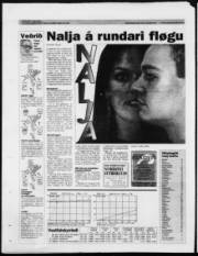 Síða 32