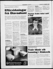 Síða 6