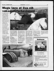 Síða 15
