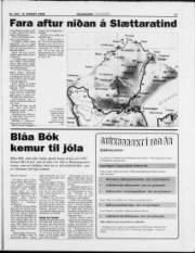 Síða 17