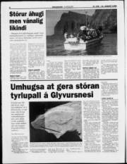 Síða 8
