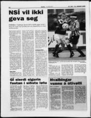 Síða 18