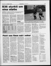 Síða 17